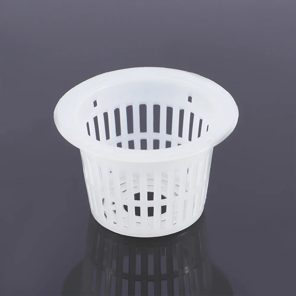 10Pcs Vegetable Hyd… - image