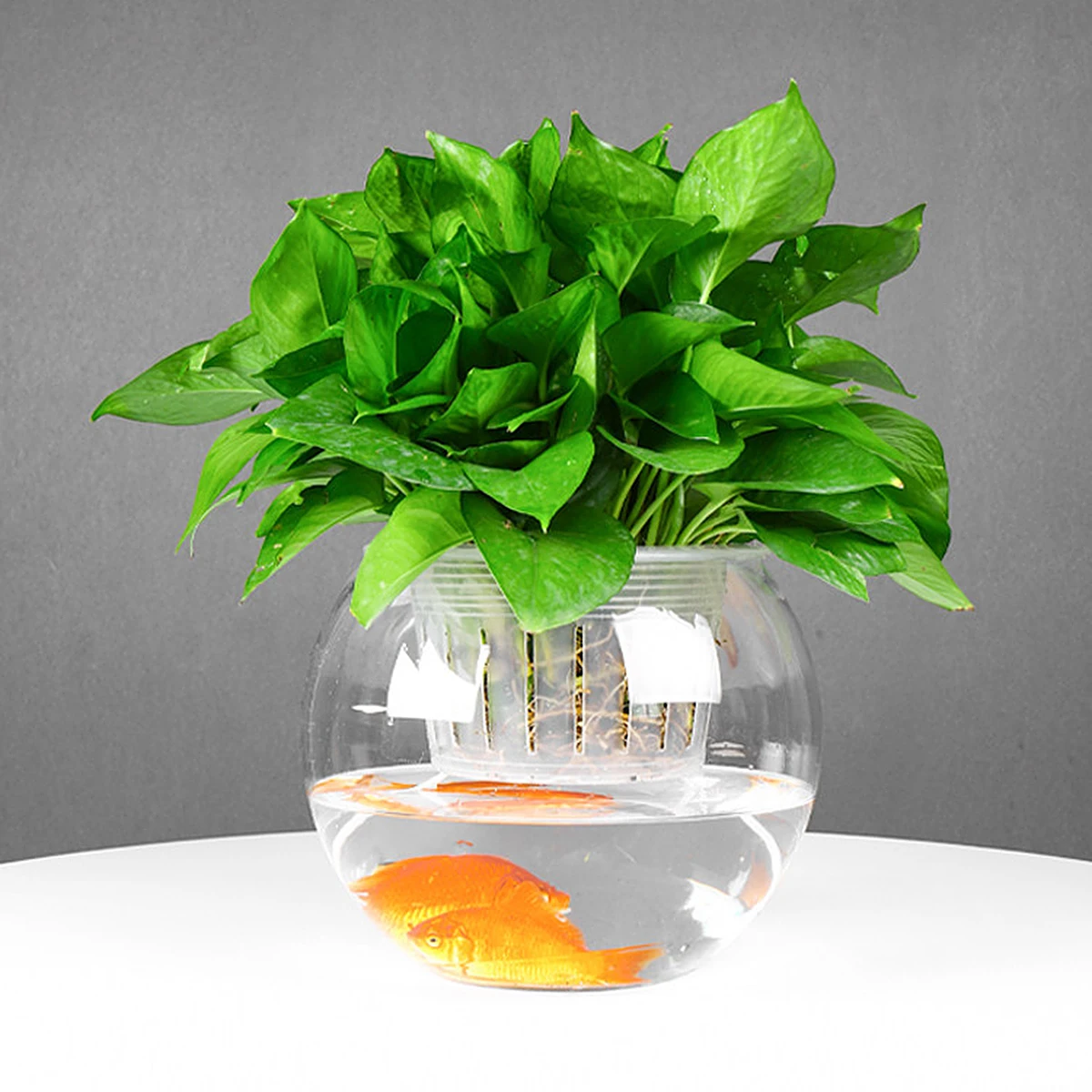 

10Pcs Root Fixing Baskets Green Planting Root Tool Uv Resistant Durable Hydroponic Soilless Culture Pots Balcony Garden Cotton