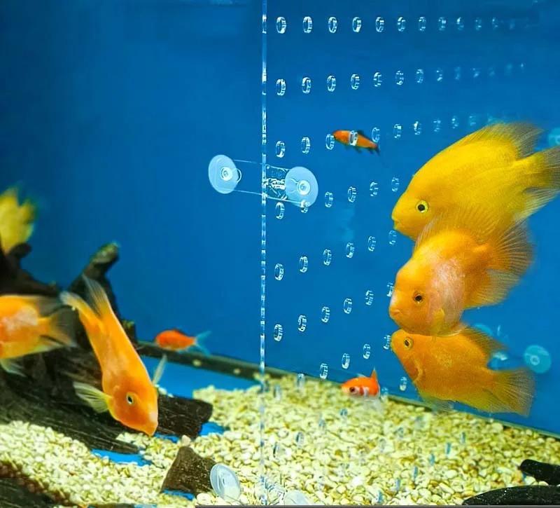 Transparent Acrylic Fish Tank Isolation Board Aquarium Grid Separator180 x200mm 180x300mm 200 x30mm 210x250mm 250x300mm Thick2mm - Detail 1