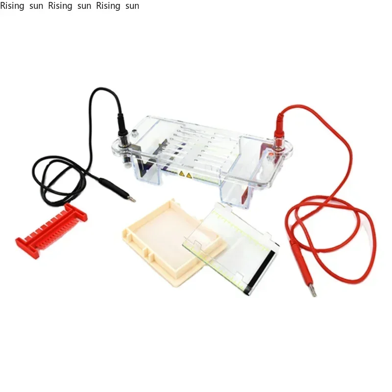 new XYCP 31CN Professional laboratory use Nucleic Acid Horizontal Electrophoresis Cell