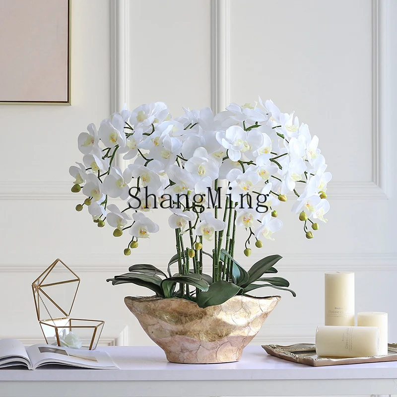 Dhy Simulation Phal…