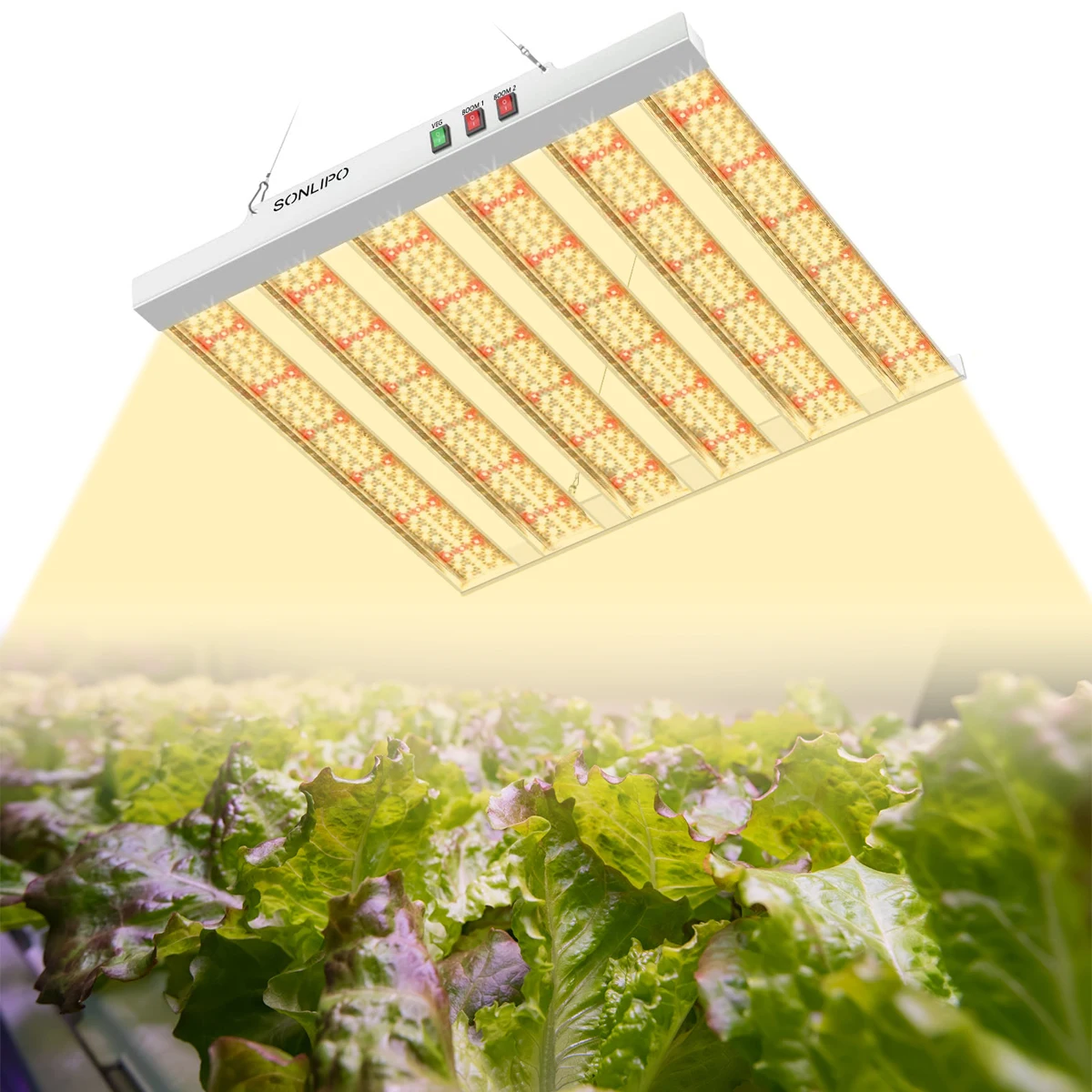 Imagem -06 - Full Spectrum Led Grow Light para Plantas 4x4 ft Cover Diodos Sam-sung 200 w Spf2000 200 w