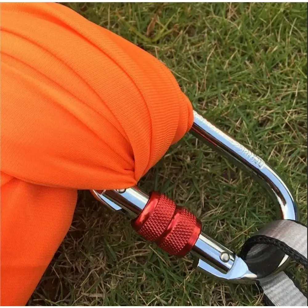 25KN High Strength Safety Auto Lock Buckle Alloy Electrophoresis Professional Carabiner Sturdy Safe Outdoor Sports Buckle