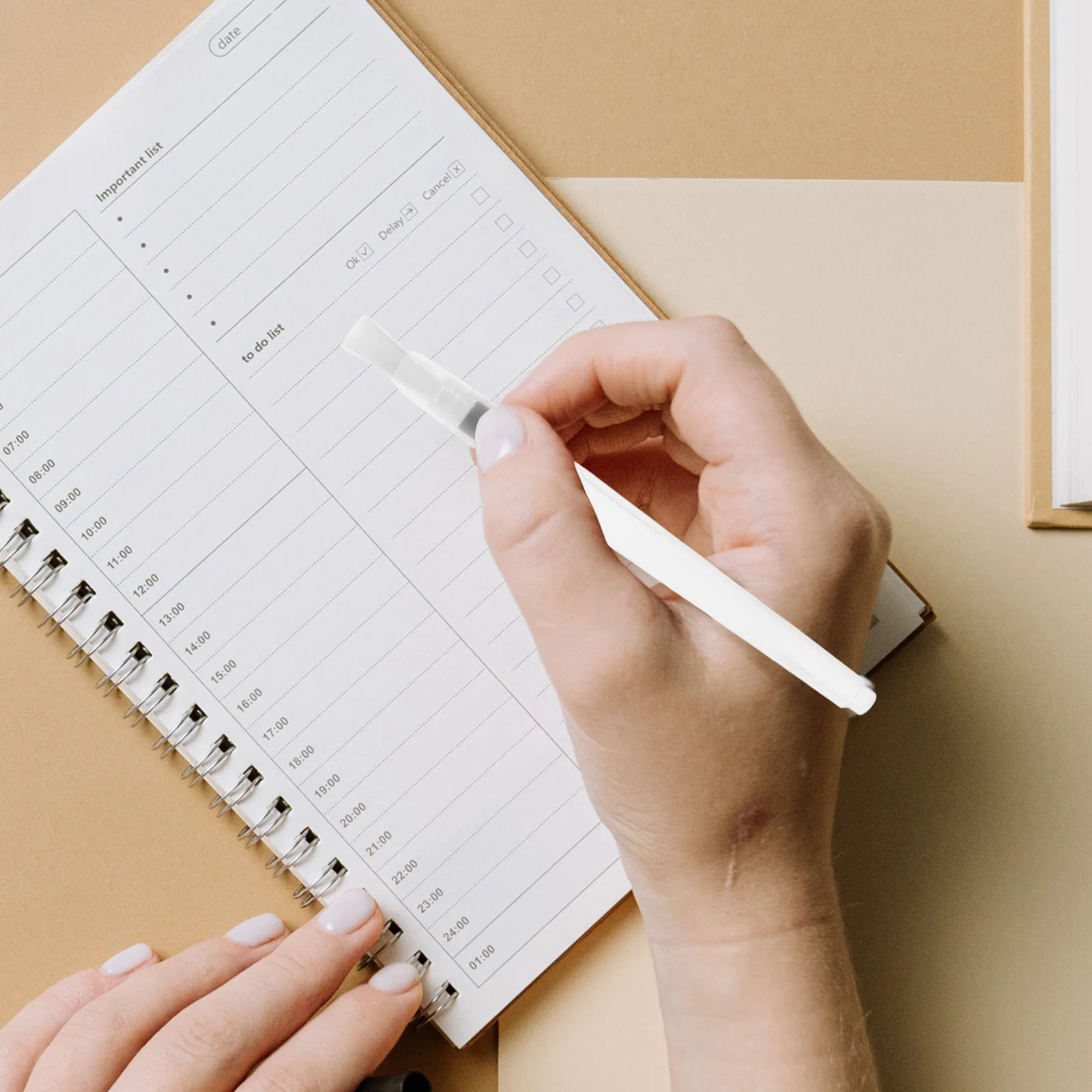 

12Pcs Watercolor Paint Brush Set Fine Detail Brushes Flat Tips Script Liner Precision Artist Brushes Watercolor Painting