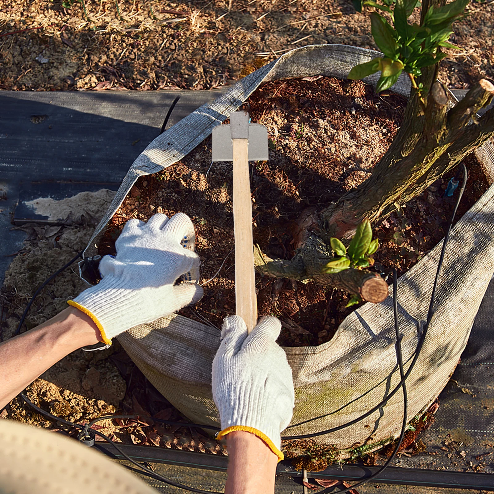 

2Pcs Wooden Handle Steel Hoe Small Garden Tool for Weeding Planting Soil Loosening and Landscaping Durable Ergonomic Design