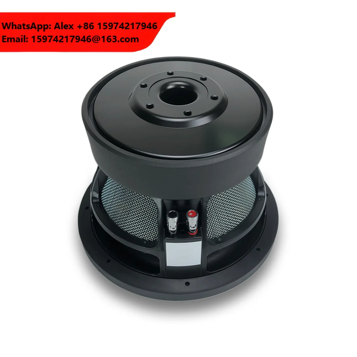 Professional OEM 10 Inch Car Subwoofer Dual Voice Coil Ferrite Magnet High SPL Car Speaker For Bass Car Stereo Replacement
