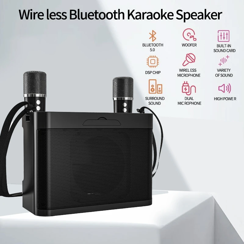 10W Powerful Wireless Portable Dual Microphone Bluetooth Sound Outdoor Family Party Karaoke Subwoofer Boom Box with 2 Microphone