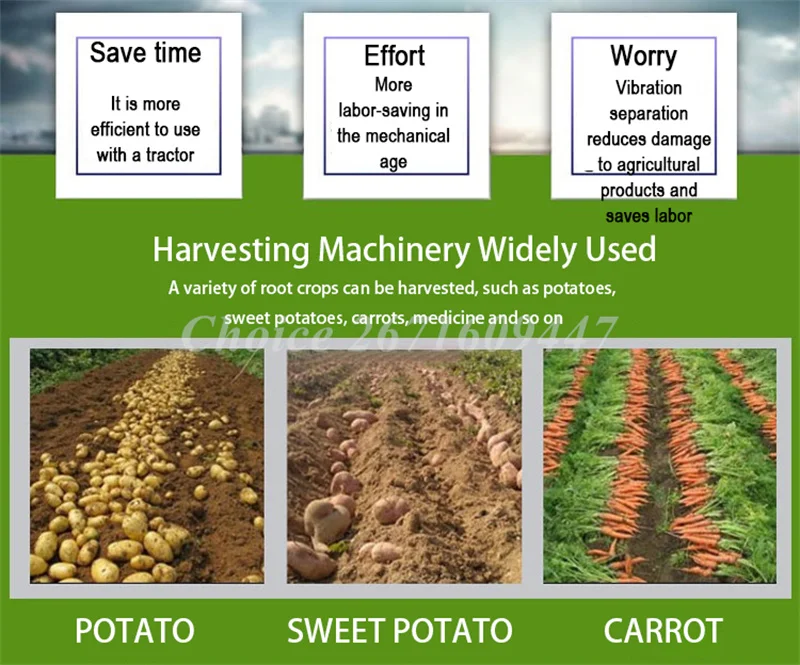 Mesin pemanen kentang manis terpasang traktor pertanian mesin pemanen kentang kecil rantai pemanen kentang untuk pertanian