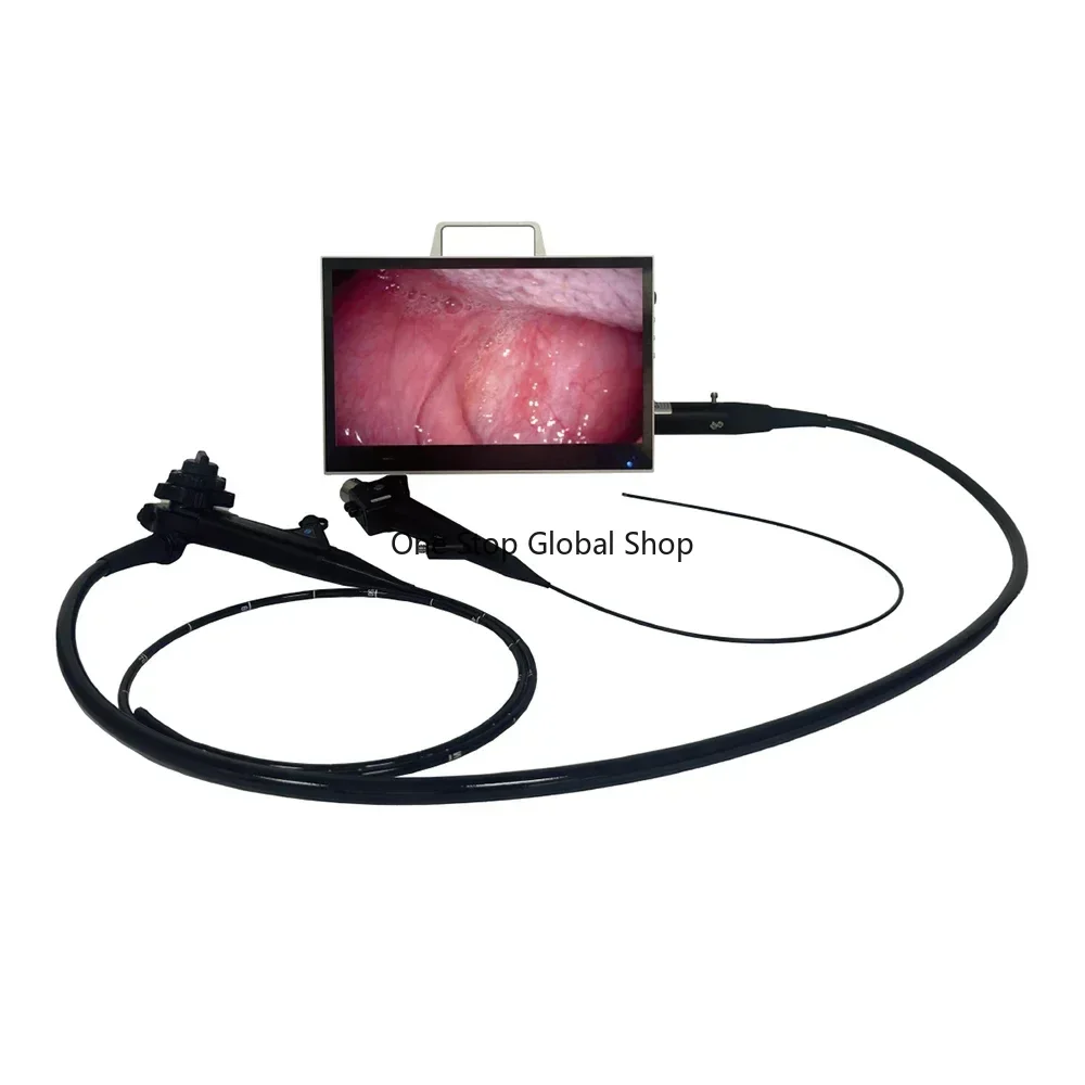 2025/ Video Colonoscope    System USB Colonoscopy Built-in Light Source Electric Power Source for vet