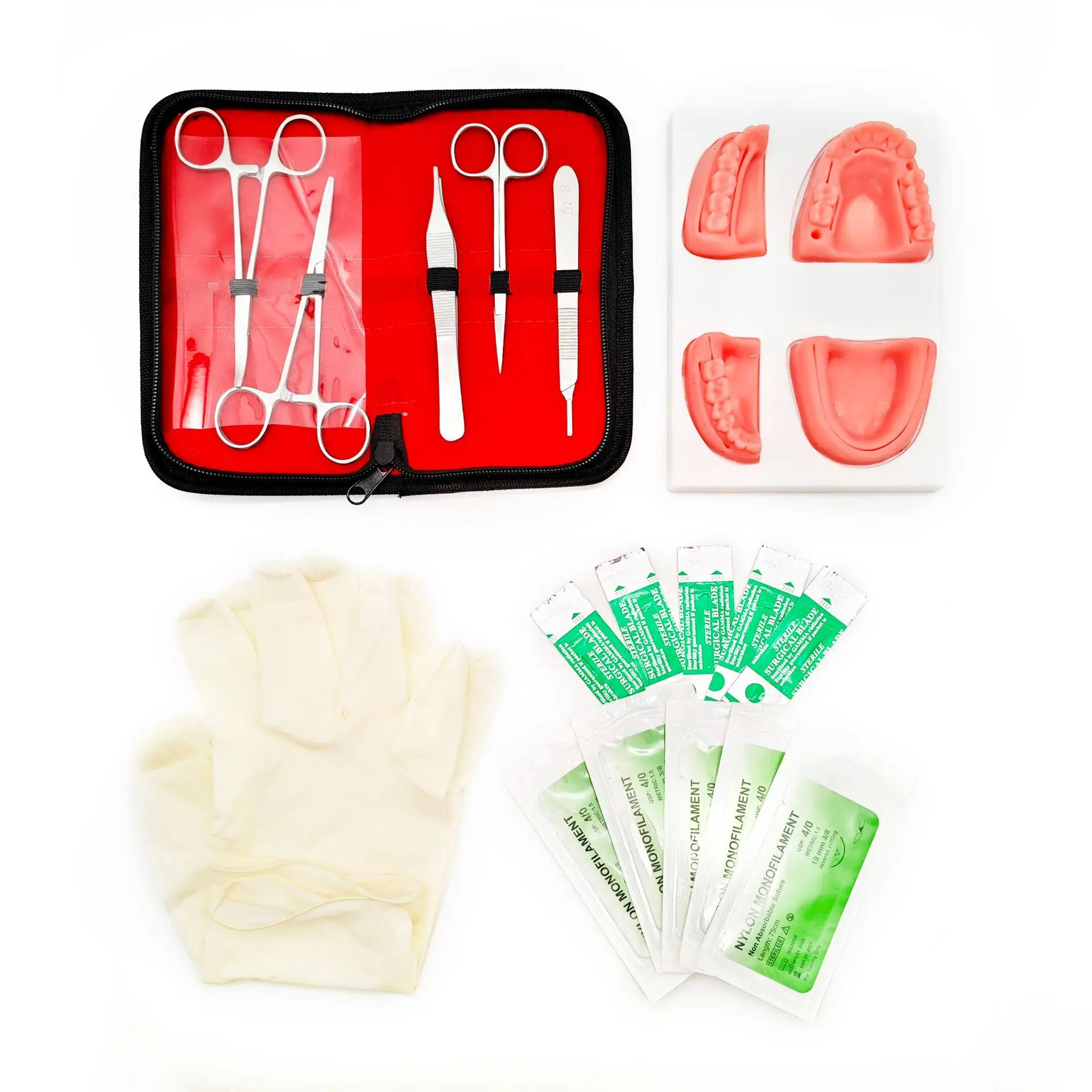Four-tooth tooth suturing practice module, suturing exercise kit, anatomical model, oral model, oral head model, export