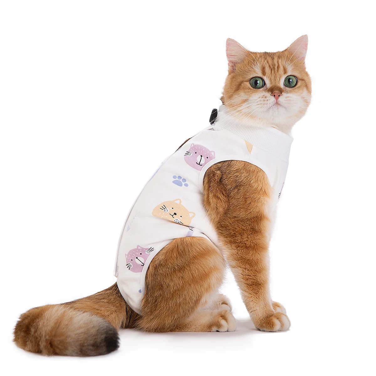 at spaying surgery post-operative anti-scratching pet physiological pants slim style breathable female kitten weaning suit