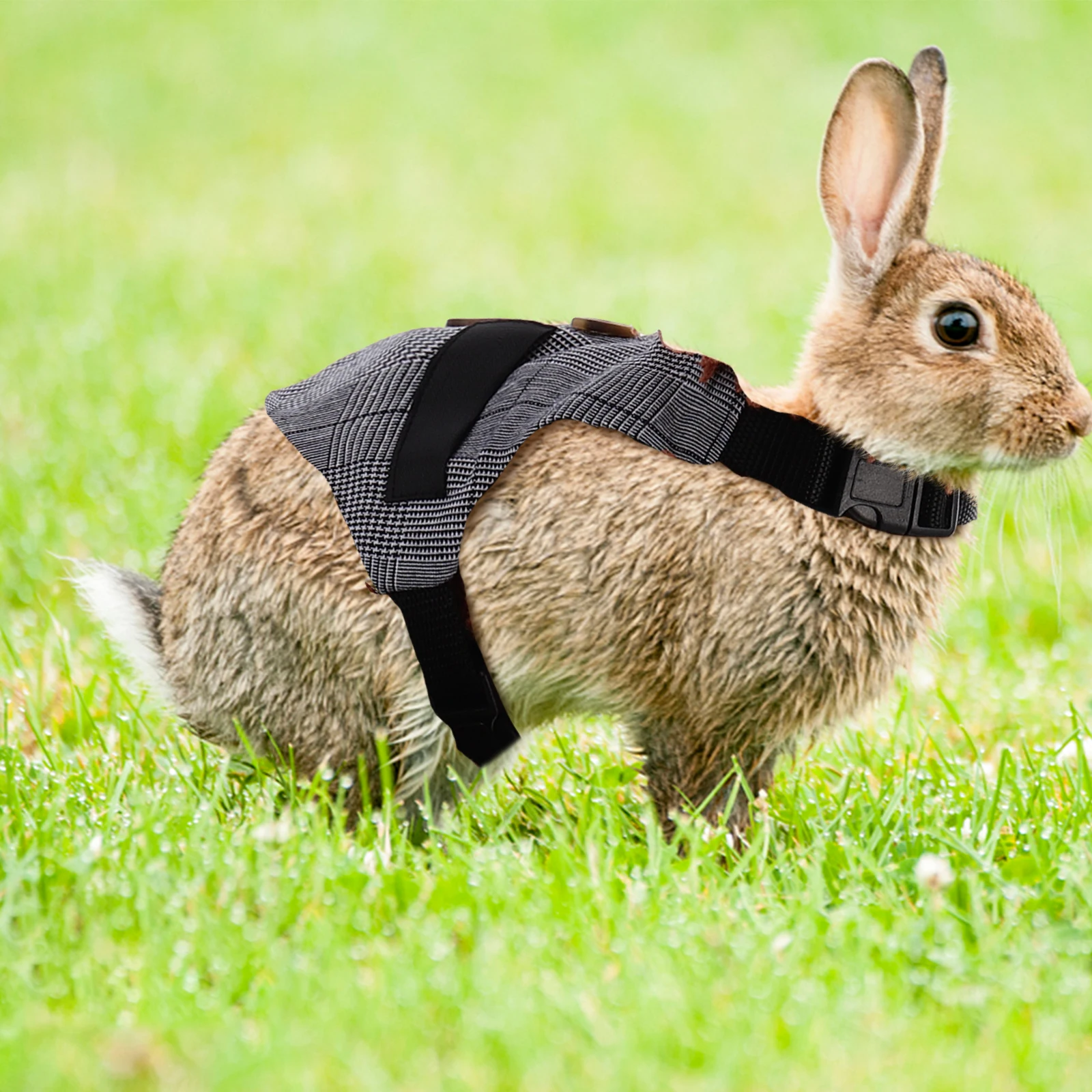 

Soft Fabric Rabbit Harness Leash Bunny Vest for Small Large Pets Wedding Party Premium Material Pet Outfits Adjustable Size