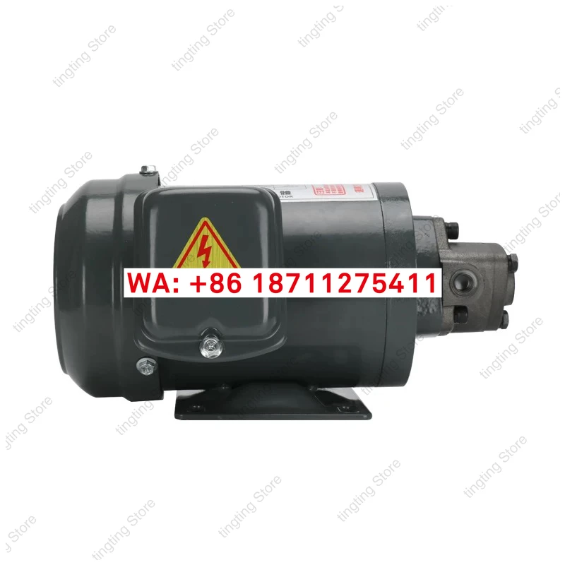 Hydraulic   gear lubrication oil pump TOP-12A small electric motor bed triangle pump oil motor 380V straight insertion