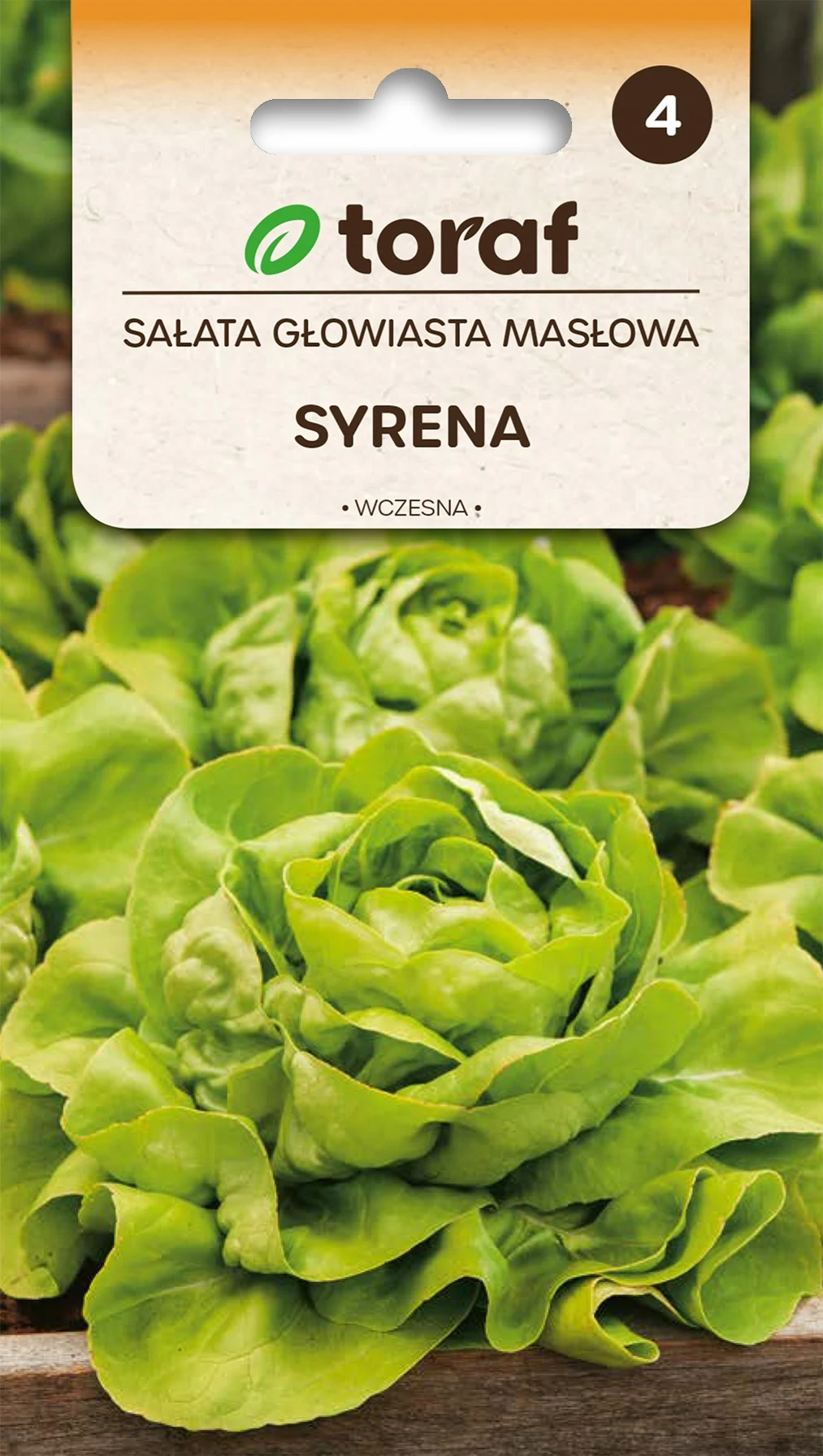 Slazaadjes Butterhead SYRENA vroeg 1g Toraf 241