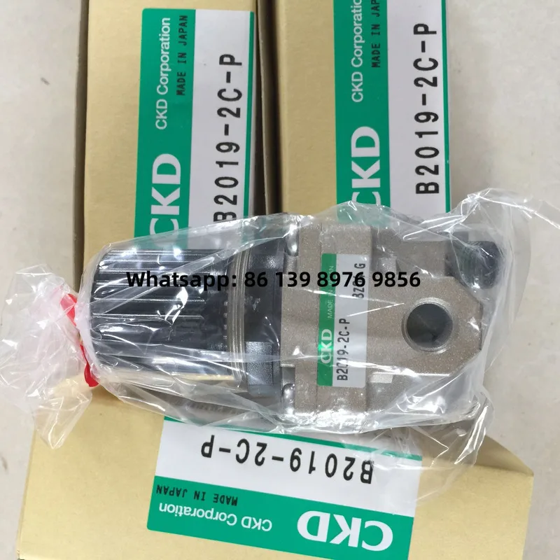CKD Pressure Reducing Valve B2019-2C-P B2019-2C-L B2019-2C B2019-1C B2019-2C-N