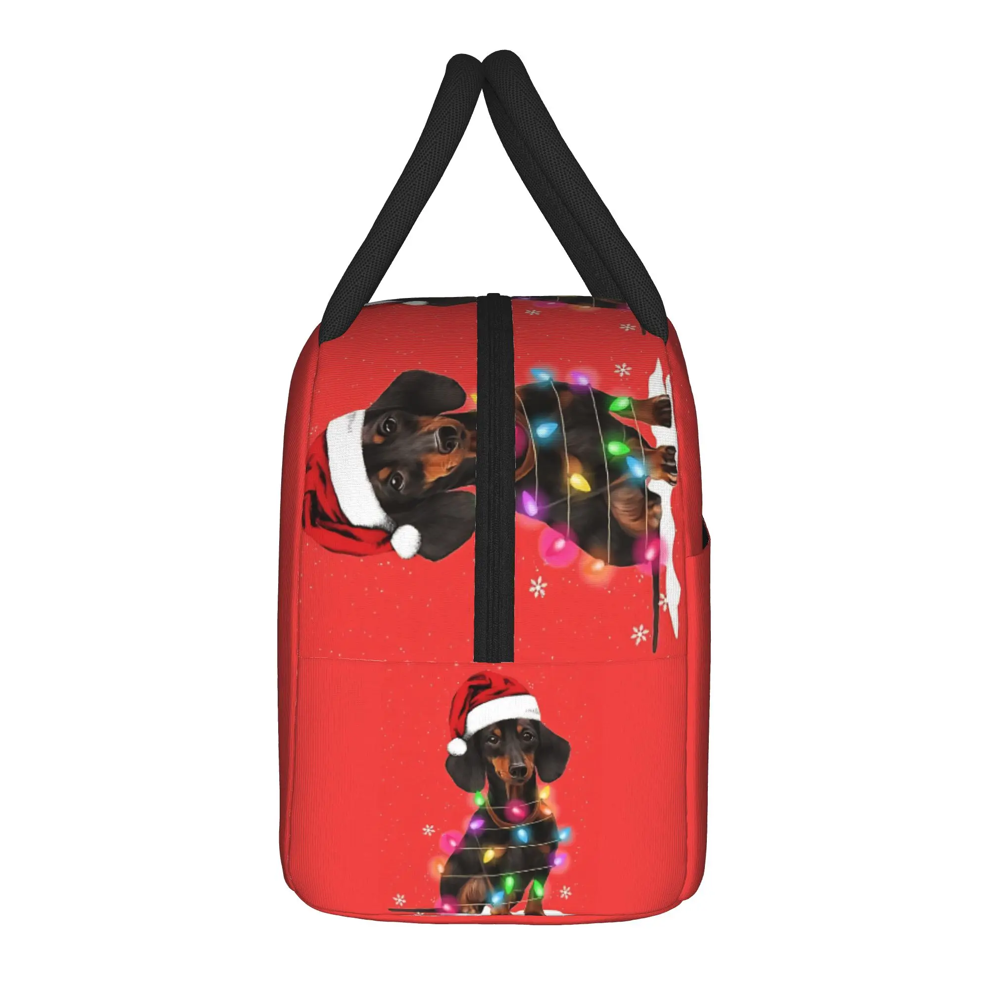 Dachshund Christmas Lights With Snow Sweater Lunch Bag Casual Lunch Box For Girls Outdoor Picnic Cooler Bag Tote Food Bags