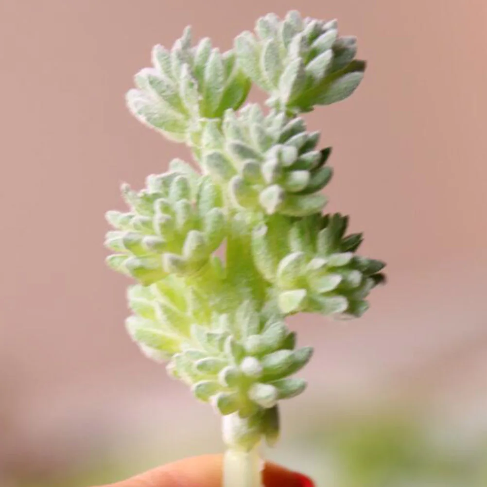 

7 pcs Simulated Succulent Plants Artificial Garden Decor For Home Office Indoor Decoration Fake Succulent Plastic Plant Ornament