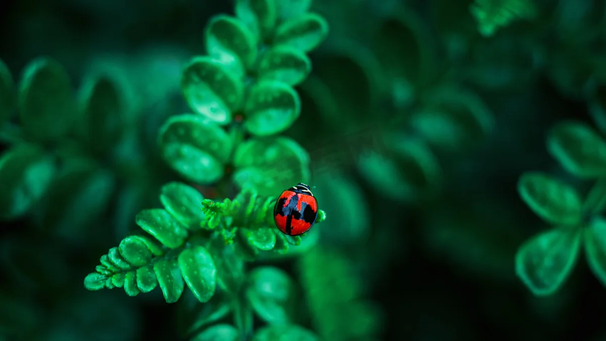 

RC Model Climbing Off-road Radio-controlled Car Simulation Mood Piece Outdoor Rainstorm Bag Luggage Rack Bag Toy QT22107