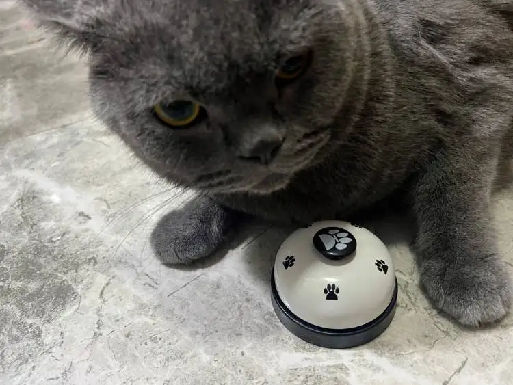 Pet Toys Bell for Dogs Cat Training Interactive Toy Called Dinner Small Bells Footprint Ring Trainer Feeding Reminder For Teddy