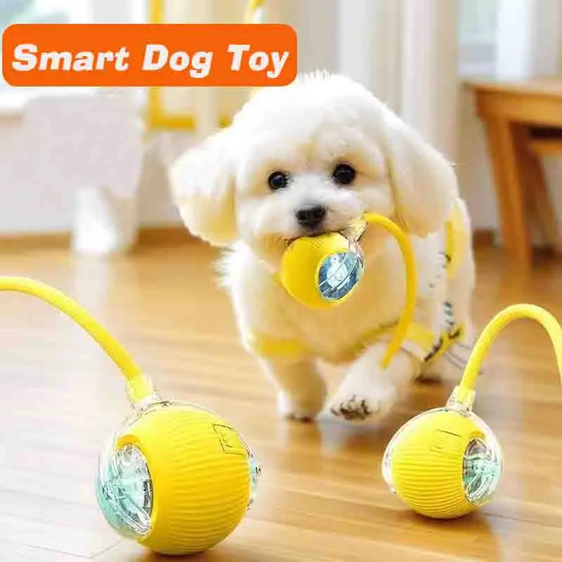 

Smart Electric Dog Ball Toys Automatic Rolling Ball Rechargeable Puppy Interactive Training Toy ,Intelligent Balls Toy for Dogs