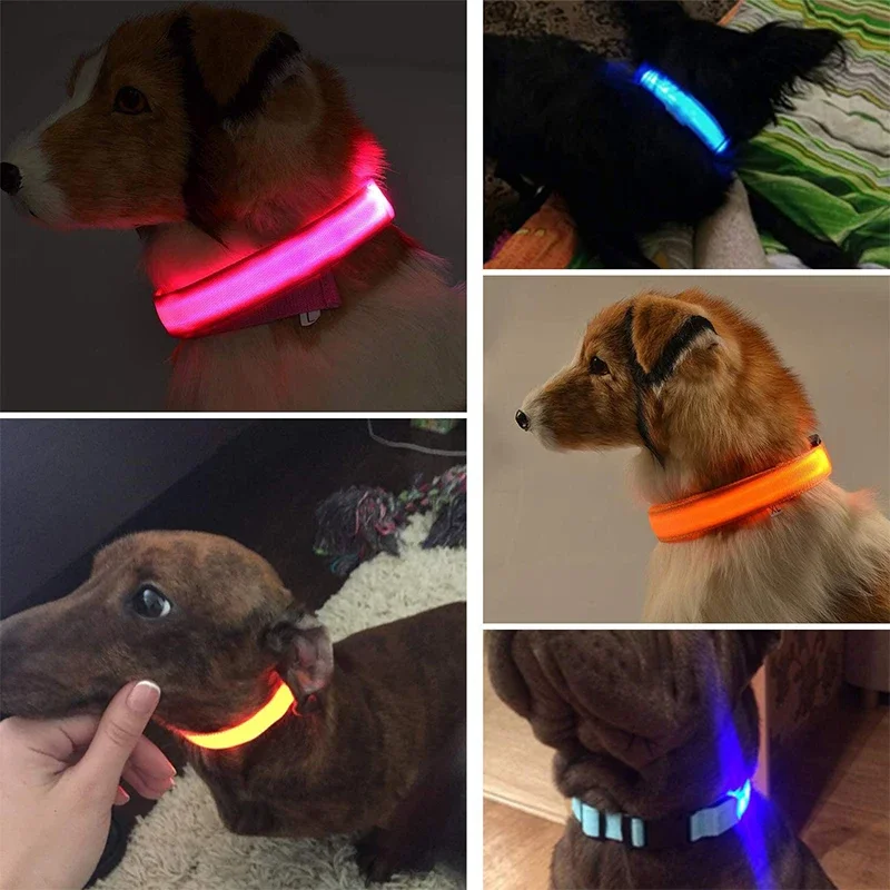 LED Glowing Dog Collars Rechargeable Waterproof Luminous Collar Adjustable Dog Night Light Collar Pet Dog Safety Necklace