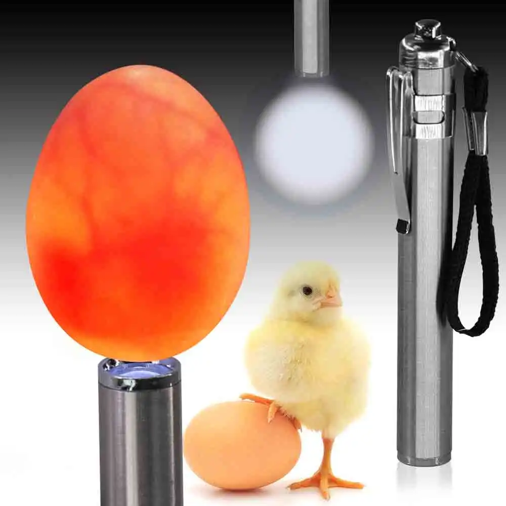 LED Super Cold Light Incubator Eggtester Egg Candling Lamp Equipment Stainless Steel Flashlight Poultry Incubation Chicken Duck