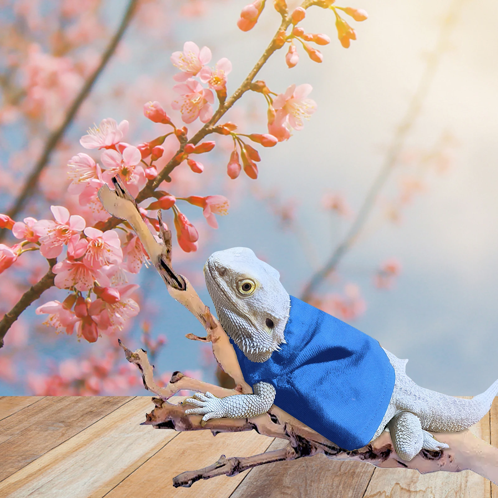 

Bearded Dragon Clothes Warm Lightweight Lizard Outfit Small Pet Clothing Outdoor Reptile Dress Up Accessories Lizard Clothes