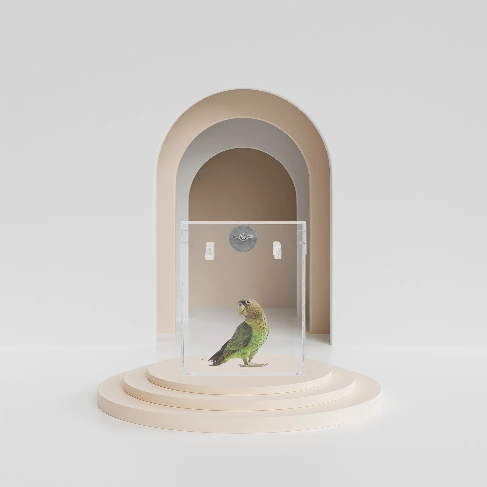 

1Pcs Transparent Bird Bath Box Parrot Cage Accessory Durable No Leak Design Stress Relief Pet Shower Box Parrot Bathtub