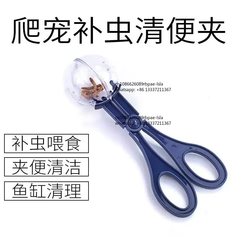 Insects Dubia Cockroaches Crickets Catch Tweezers Crawling Pet Lizards Guardian Spiders Feeding Clips Clear Manure