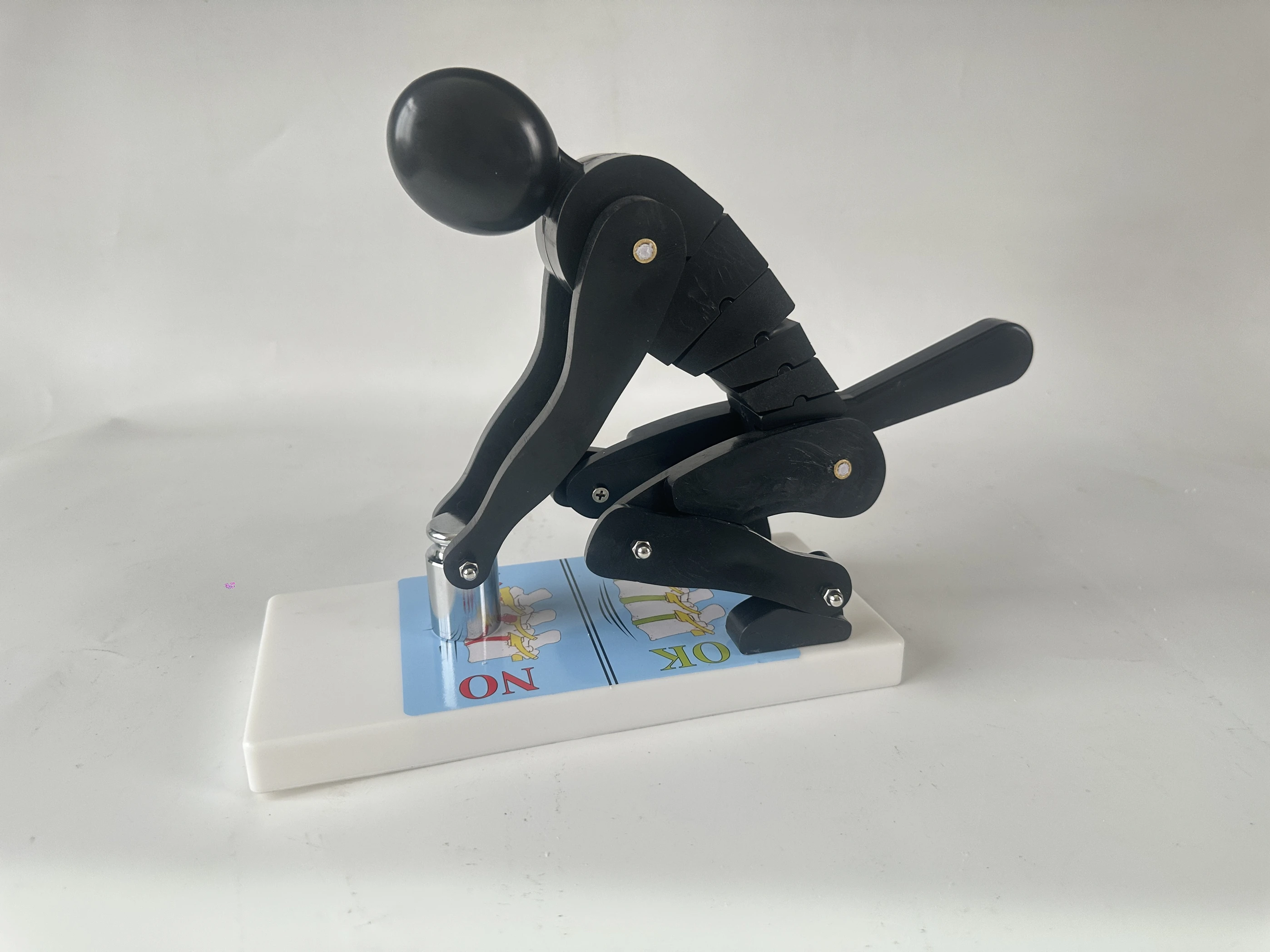 

Human body bending, weightlifting, spinal stress demonstration model, fitness weight, correct posture demonstration,