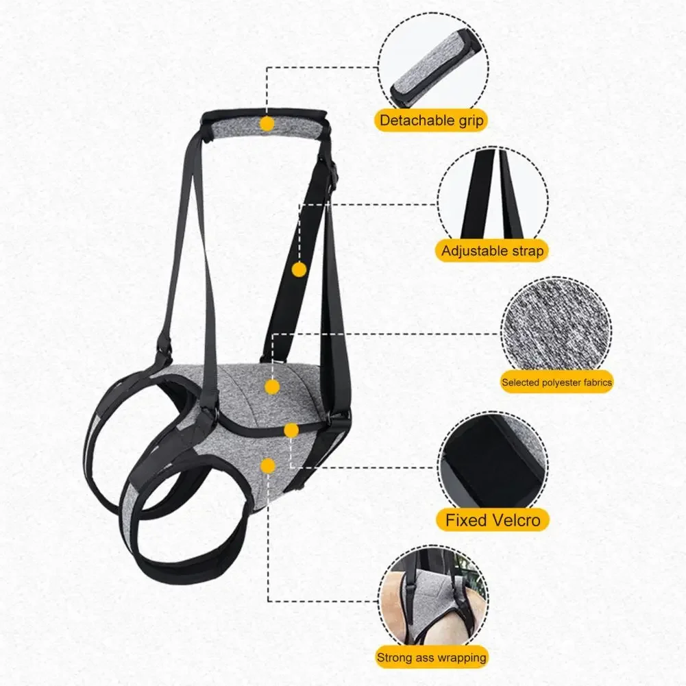 Dog Support Harness Elastic Dog Lift Harness Reduce Pressure Walking Aid Disabled Pet Mobility Hind Leg Support لجام الخيل