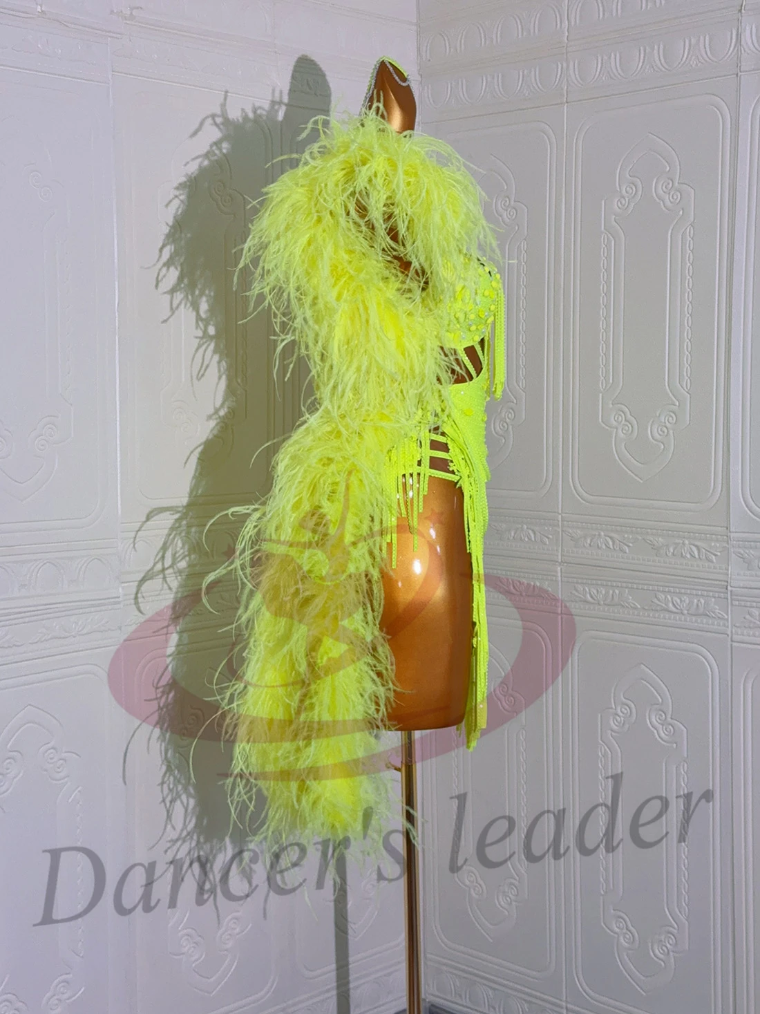 

Latin Dancer Adult Children High End Customized Plush Diamond Dress Tango Samba AB Stone Performance Dress