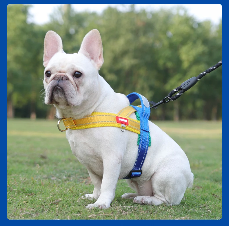 Hunde-Haustier-Brustgeschirr, breites Gurtband, zweifarbig, kontrastierend, vier Seadon-Hundegeschirr, Nylongriff, Outdoor-Hundegeschirr, reflektierend – Detail 15