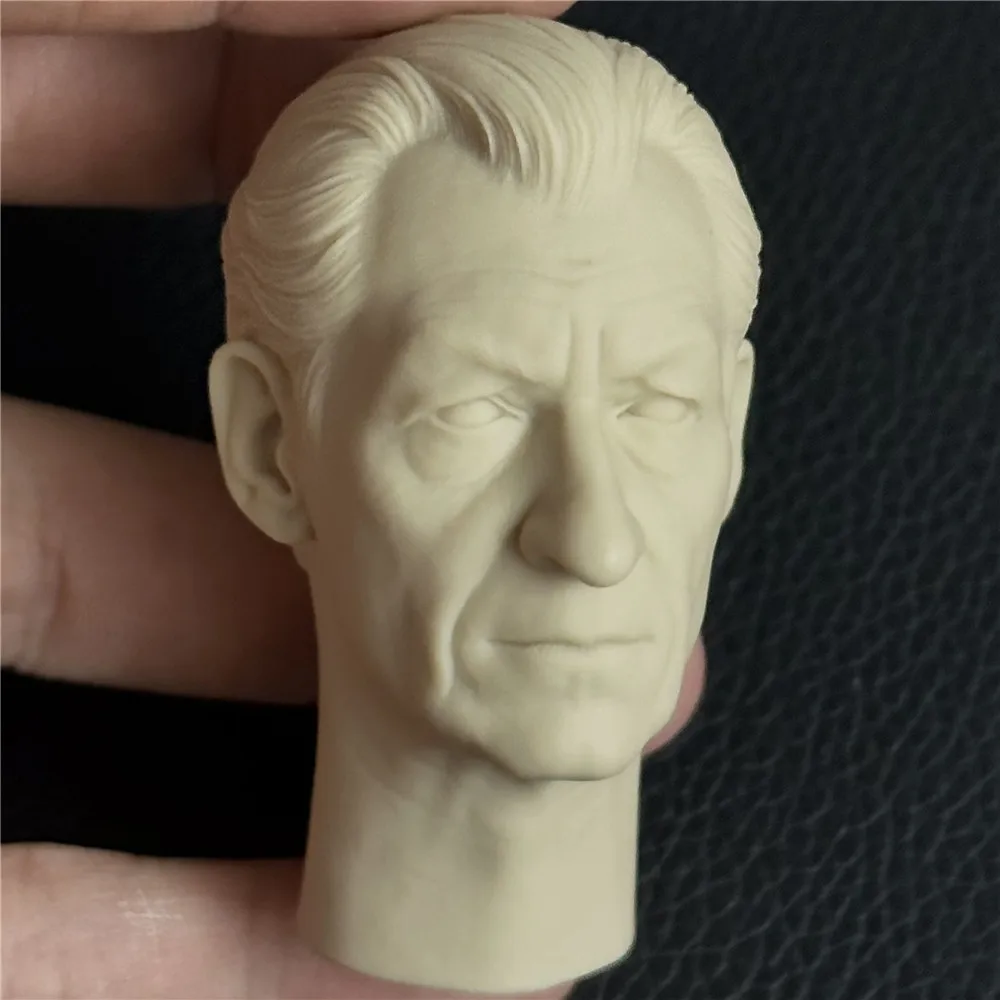 Unpainted 1/6 Scale Ian McKellen Head Sculpt Model Painting Exercise For Action Figure Dolls Soldier Accessories