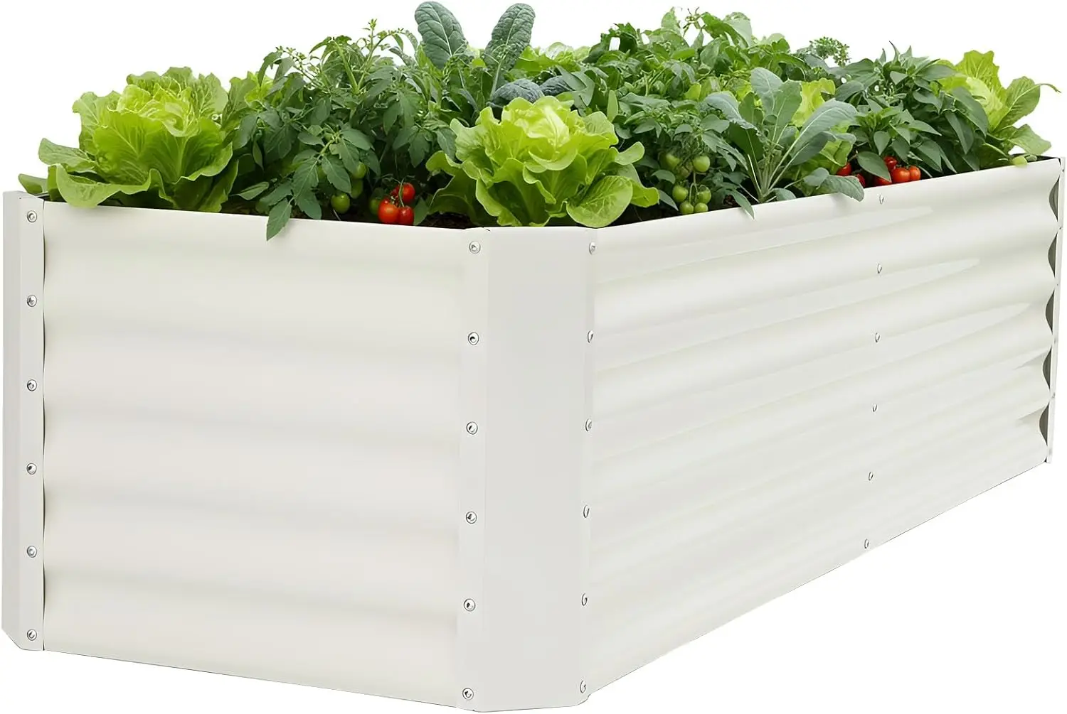 Galvanized Raised Garden Bed - 6x2x1.4ft Metal Garden Planter Box Outdoor | Steel Raised Bed Kit with Bracing Rods, Gloves for Gardening Vegetables Fruits and Flowers (White)