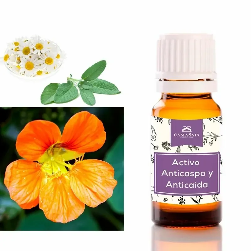 Camassia Activo Anticaspa y Anticaída | Naturales | Propiedades Cicatrizantes, Antiflogísticas, Antialérgicas y Antisépticas