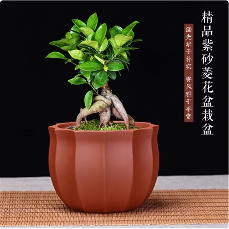 Ceramic Round Bonsai Pot,Edge strip Decoration,Small Plant Vase,Home decoration,Purple Sand 6 Color.