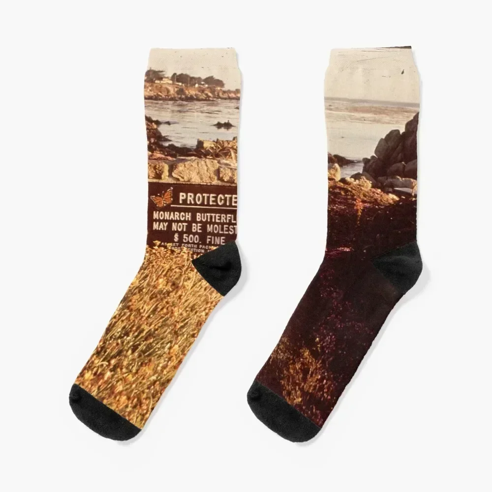 

CALIFORNIA PACIFIC GROVE NARA 543271 Socks designer basketball christmas stocking Men's Socks Luxury Women's