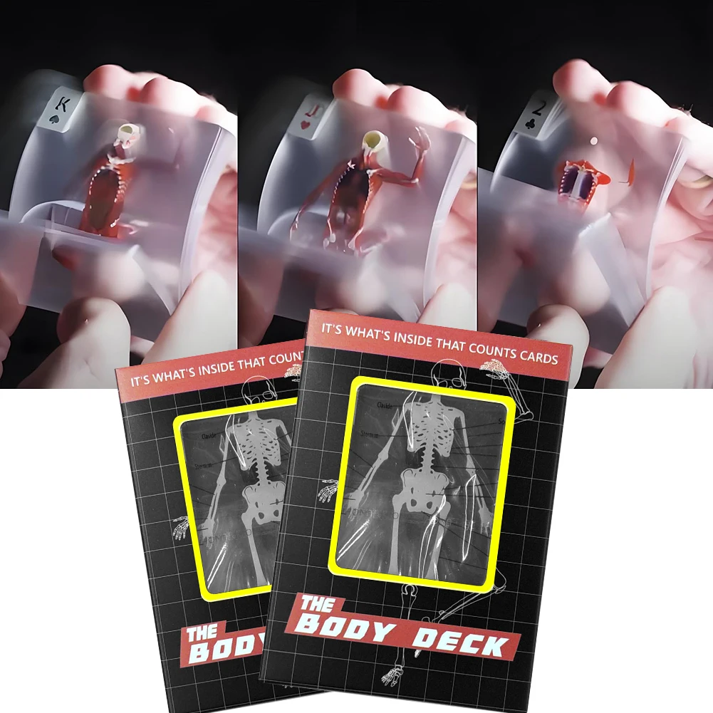 3D 이미지 교육용 카드 재사용 가능한 투명 인체 모형 카드 해부학 애호가를 위한 해부학 카드
