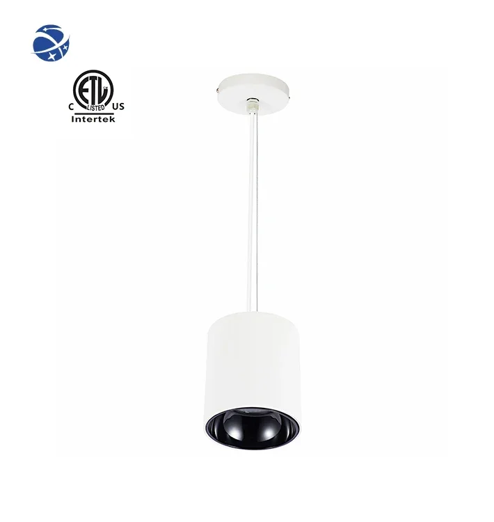 Master D IP65 Series Spotlight Adjustable Cob Downlight Adjust Down Lights Design Led Downlight Commercial Lighting For Hotel