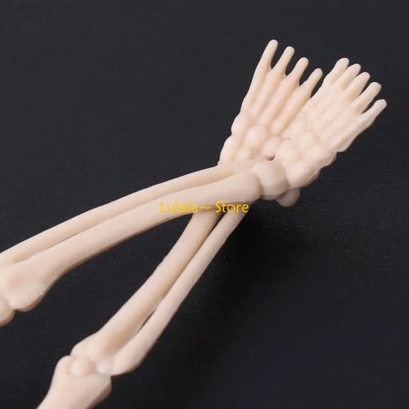 Y4QA 7.87x1.77In Étude décorative Figurine Bibliothèque à maison Décoration Horreur Halloween Skeleton Decor fantôme pour les