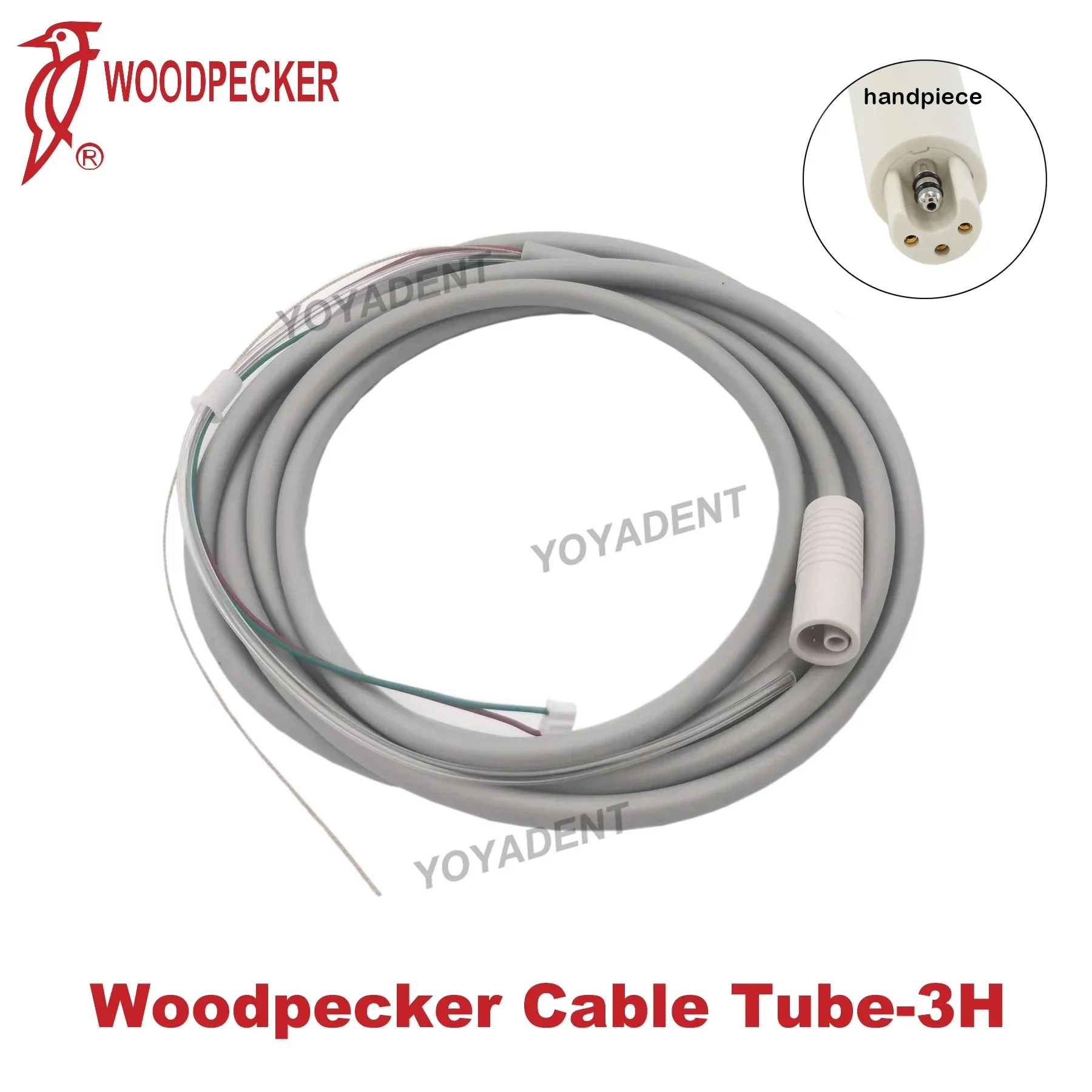 Woodpecker DTE Dental Scaler Handpiece Detachable Cable Tube Ultrasonic Scaler Cable Fit Woodpecker NSK EMS SATELEC Handpiece