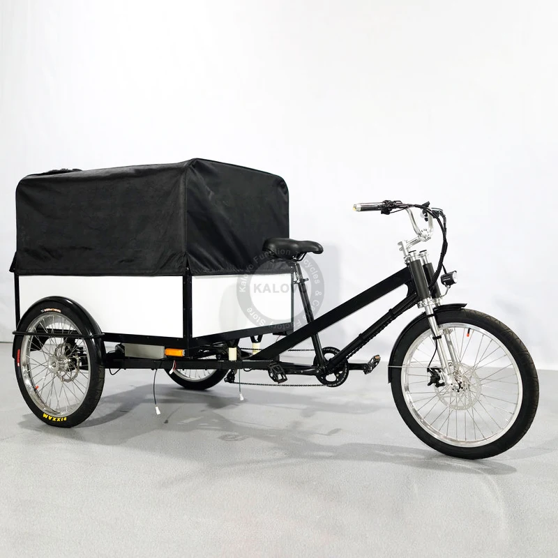 Cargo Transport Bike Good Brake System 3 Wheels Bicycle Cargo Delivery Trike For Sale Waterproof Cover