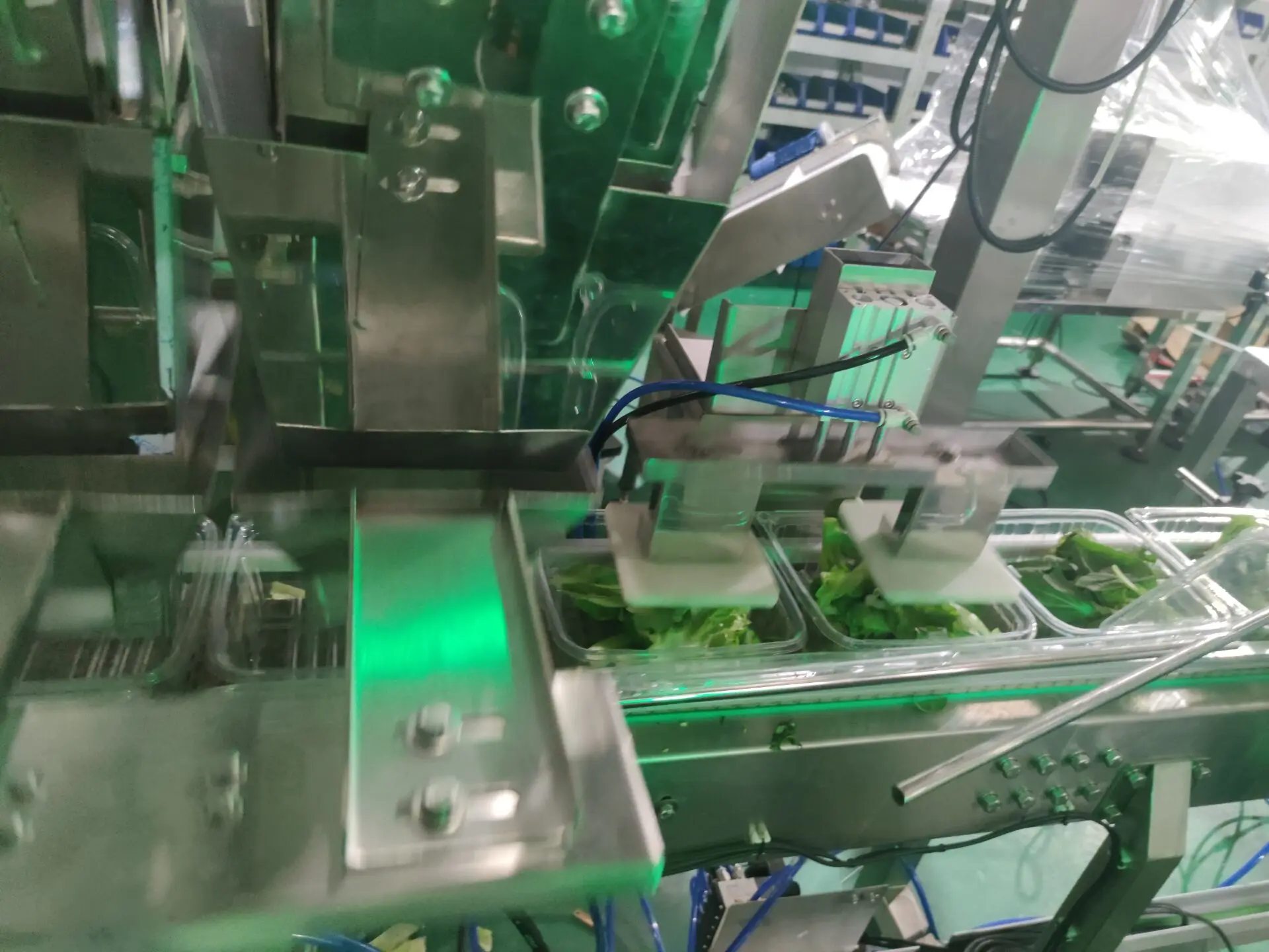 Fully automatic multihead weigher 500g lettuce tray packing machine