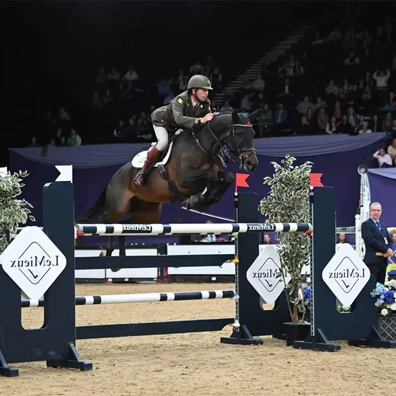 

Легкий пластик для прыжков, устойчивый к ультрафиолетовому излучению, яркие варианты цвета, простая сборка, безопасный, легкая очистка, перемычки для шоу лошадей