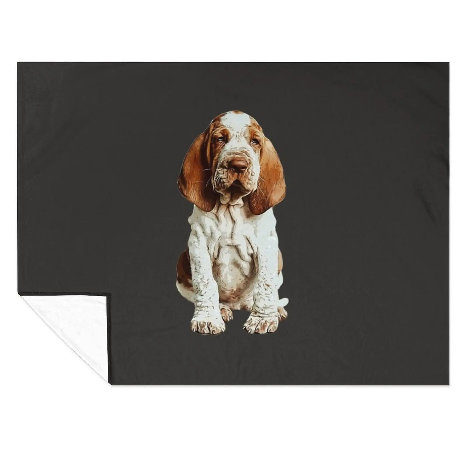 

Bracco Italiano puppy dog Throw Blanket Multi-Purpose Sleeping Bag warm winter Blankets