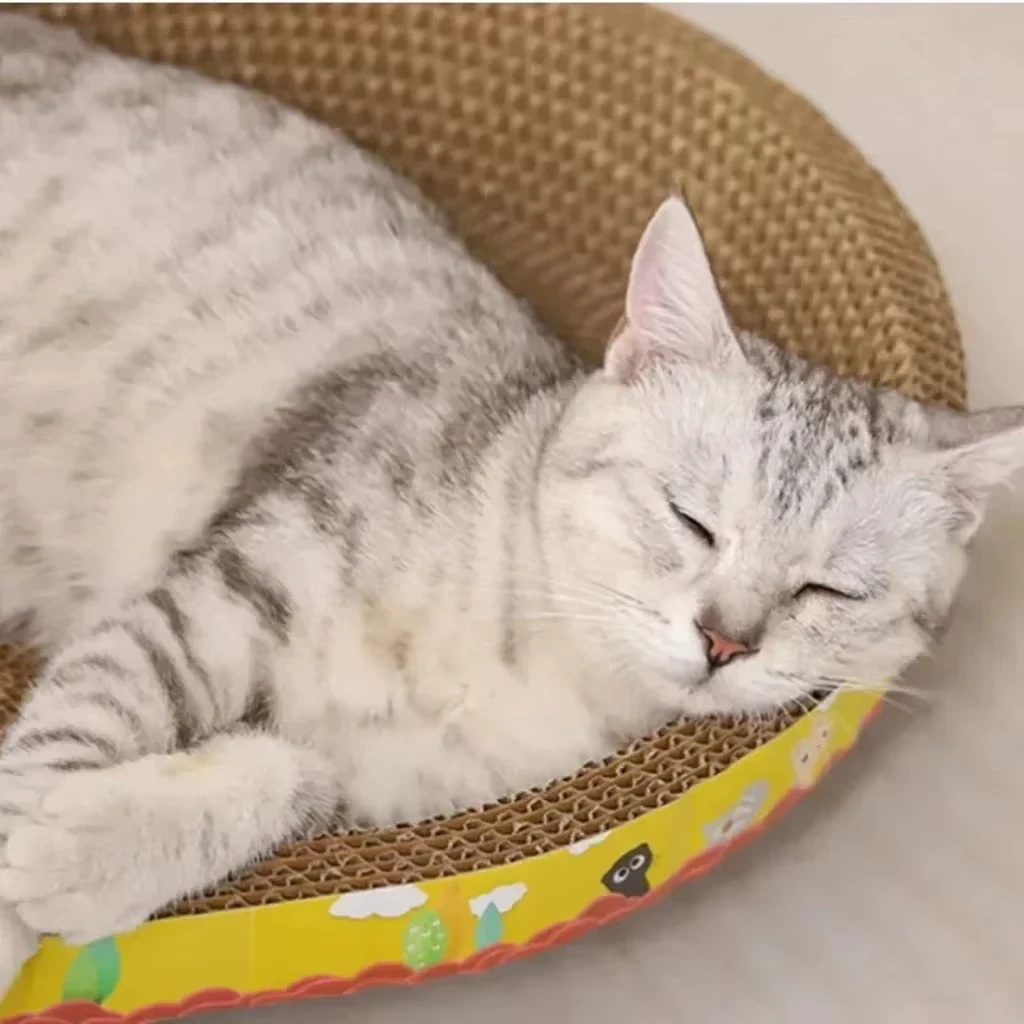 Cat Scratching Board Protect Furniture Grinding Claw Toys Oval Corrugated Paper Wear-resistant Cat Nest Cat Accessories image 3