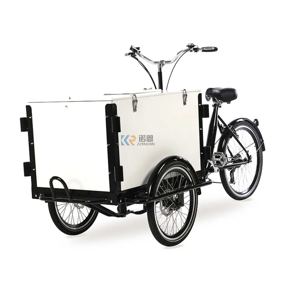 Mobile Cart in Heavy Loading Pedal Assistant Electric Cargo Bike for Carrying Kids