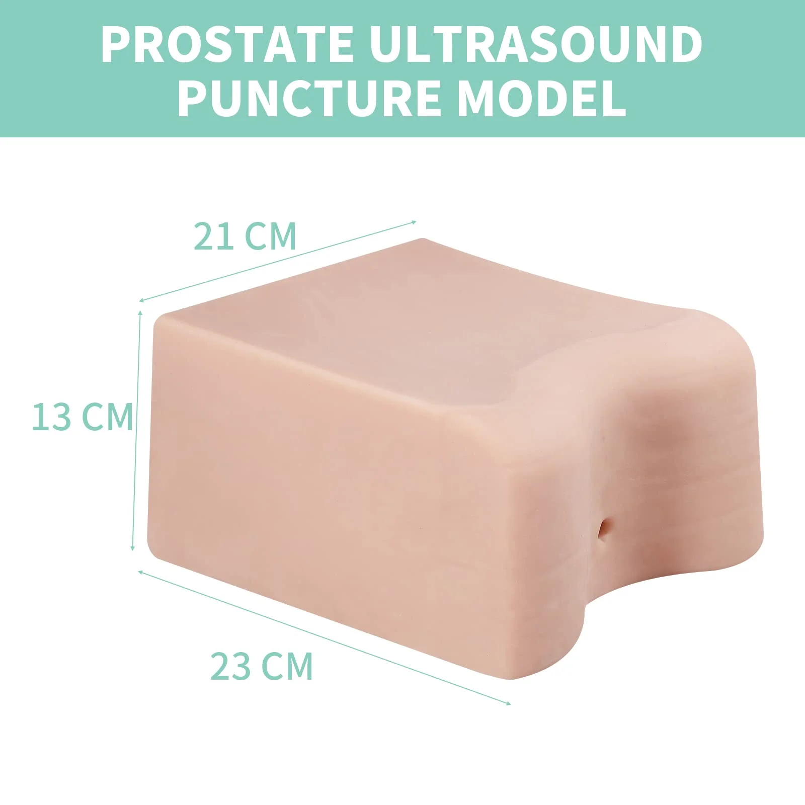 Ultrasound tusukan Phantom, prostat latihan Kit perineal, transknetra biopsi tusukan sunat pelatihan