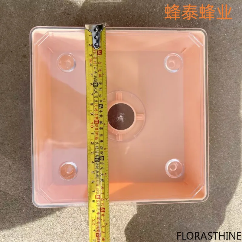Beekeeping Tools Feeder, European Square Feeder, Beehive Bee Top Bee Wholesale